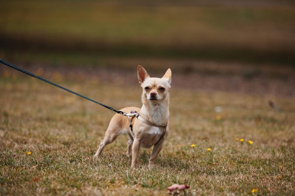 How Can Small Changes Improve Comfort in Your UK Home?